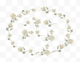 白色的素玫瑰材