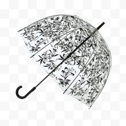 印花雨伞