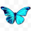 高清创意合成蓝色的花蝴蝶