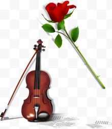 小提琴玫瑰花