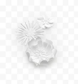 白色纸花