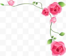 粉色手绘玫瑰花苞