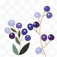 手绘紫色浆果