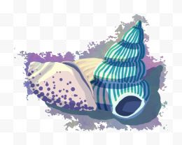 水彩海螺