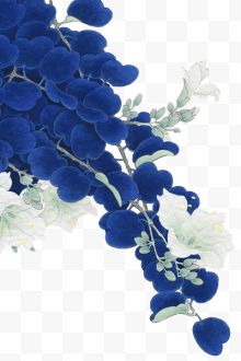 白色文艺花朵蓝色树叶...