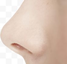 人类的鼻子