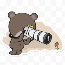 手拿相机观察小花的棕熊