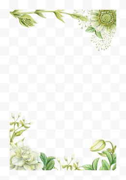 绿色手绘花朵边框