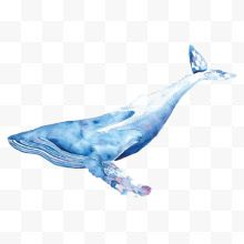 创意水纹鲸鱼