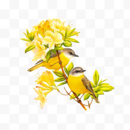 黄色清新花鸟装饰图案...