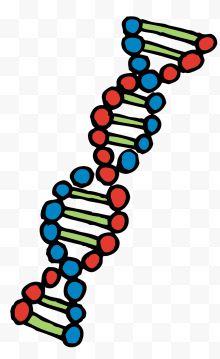 分子细化矢量卡通风格DNA