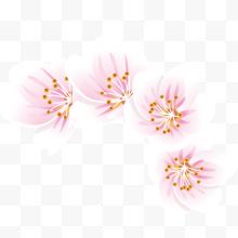 四朵粉色樱花