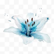 水彩手绘蓝色花卉设计