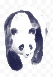水墨手绘可爱大熊猫