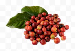 景色的咖啡豆