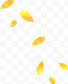 黄色叶子飞舞