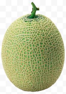 一个绿色哈密瓜