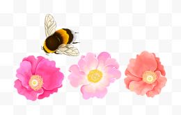 卡通手绘蜜蜂与三朵小花...