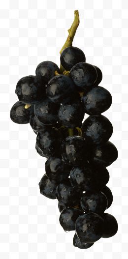 黑葡萄