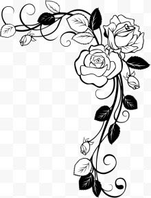玫瑰花装饰图