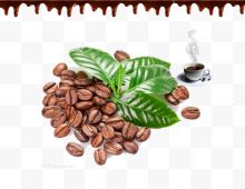 棕色咖啡豆绿叶装饰