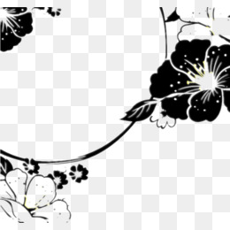 黑白手绘花朵背景图