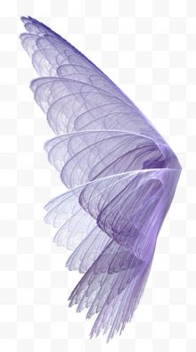 羽毛飘落 卡通梦幻紫色翅膀