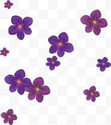 漂浮紫色花朵