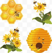 矢量黄色蜂蜜与蜂蜜