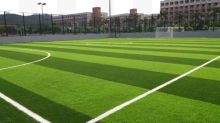 足球场草坪可适用于足球场...