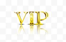 闪光VIP