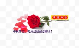 中秋节玫瑰花