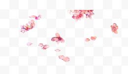 水墨粉色花瓣
