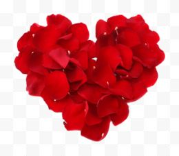 红色玫瑰花瓣爱心