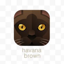 哈瓦那猫方形动物矢量图标