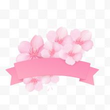 粉色樱花和丝带矢量
