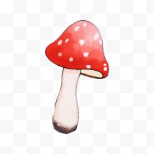 漂亮的手绘蘑菇