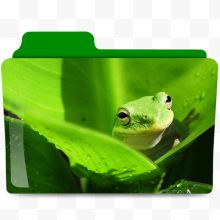 绿色青蛙背景文件夹