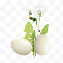 绿叶鸡蛋