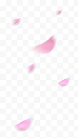 漂浮朦胧粉色花瓣