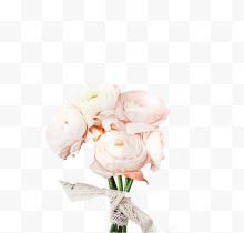 白色美丽康乃馨花束...
