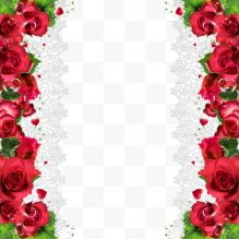 红玫瑰白色镂空花纹边框