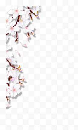 白色清新花枝装饰图案