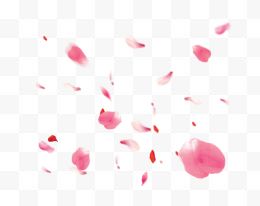 漂浮粉色玫瑰花瓣
