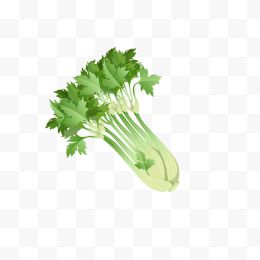 卡通手绘绿色蔬菜芹菜