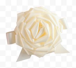 一朵白色玫瑰花