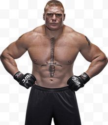 brock+lesnar+<em></em>