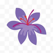 一朵紫色小花
