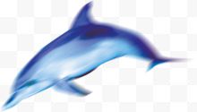 卡通游动的蓝色海豚...