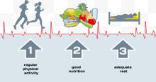 人体运动饮食与健康